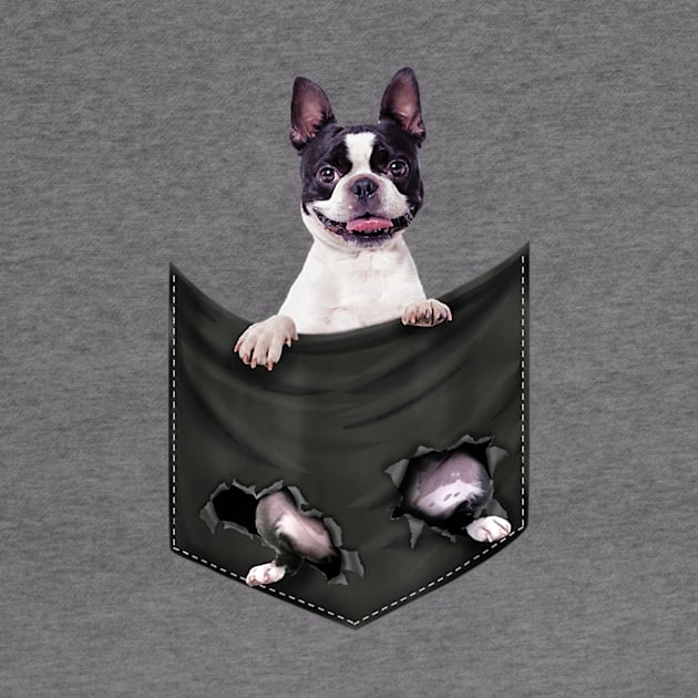 Boston Terrier Dog In Pocket by Xamgi